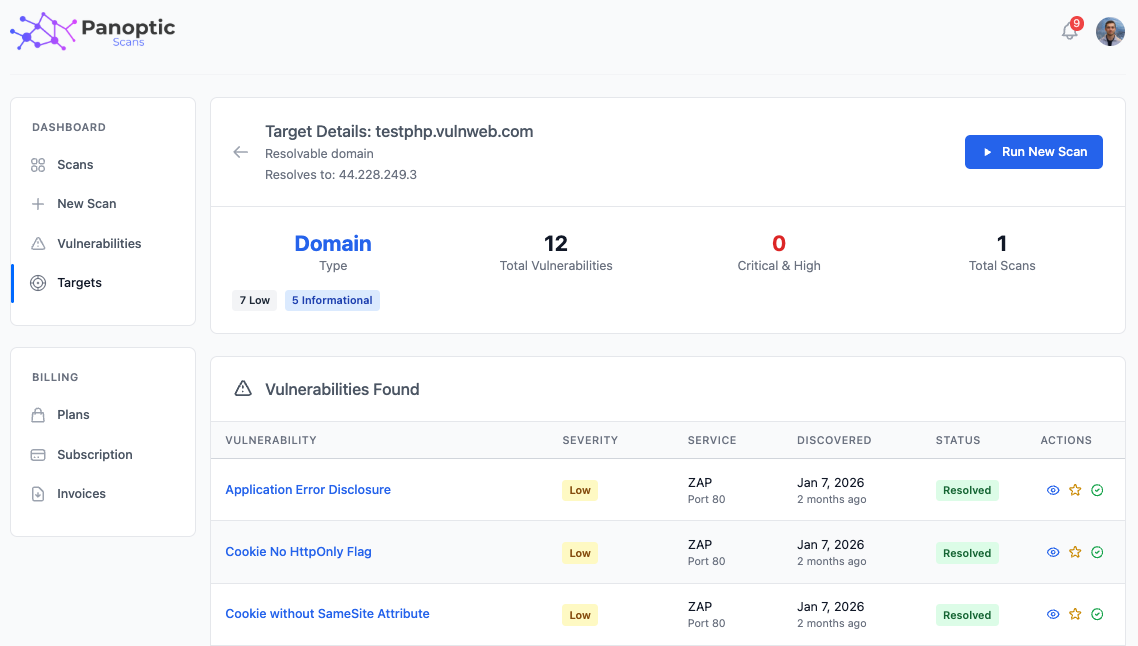 Target details showing vulnerabilities associated with a target
